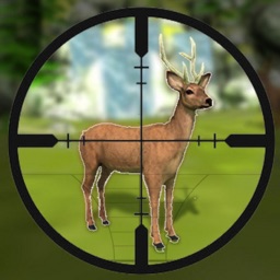 Wild Animal Hunting Game