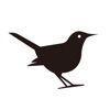 Aboutbirds icon