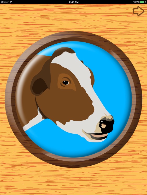 Big Button Box Animals HD