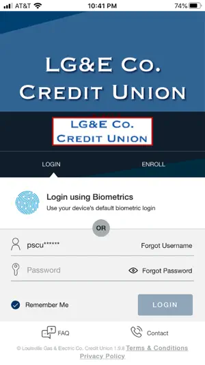 LGECU VISA screenshot 1