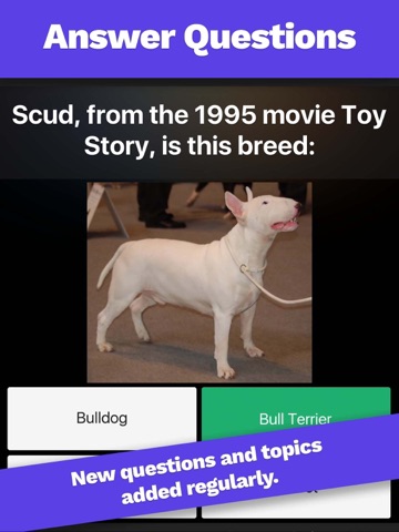 Question Cube iPad screenshot