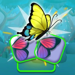 Butterfly Shimai