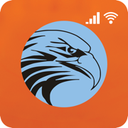 Falcon 4G