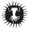 Afrikaburn Companion App icon