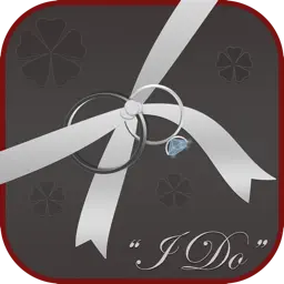 Wedding Planner Professional app icon