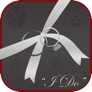 Wedding Planner Professional app icon