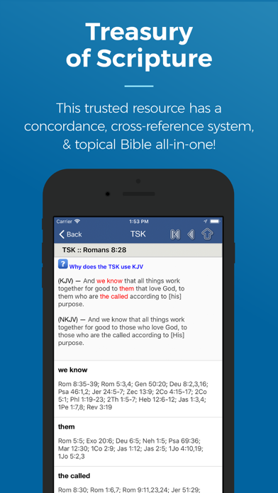 Screenshot #3 pour Blue Letter Bible