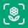 Planto: Plant Identifier