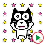 Download Maru Cat 2 Animation Sticker app