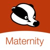 BadgerNet Maternity icon