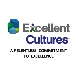 Achieving Excellent Culture