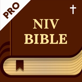 螢幕擷取畫面 (7) New International Version Pro.