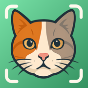 Cat Identifier - CatScan
