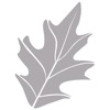 Grey Oaks Country Club icon