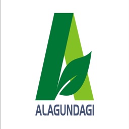 Alagundagi Groups