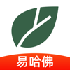易哈佛-小麦医考 初级护师、主管护师、护士资格、正副高、主治 - Ningbo PinZhi Network Technology Co., Ltd.