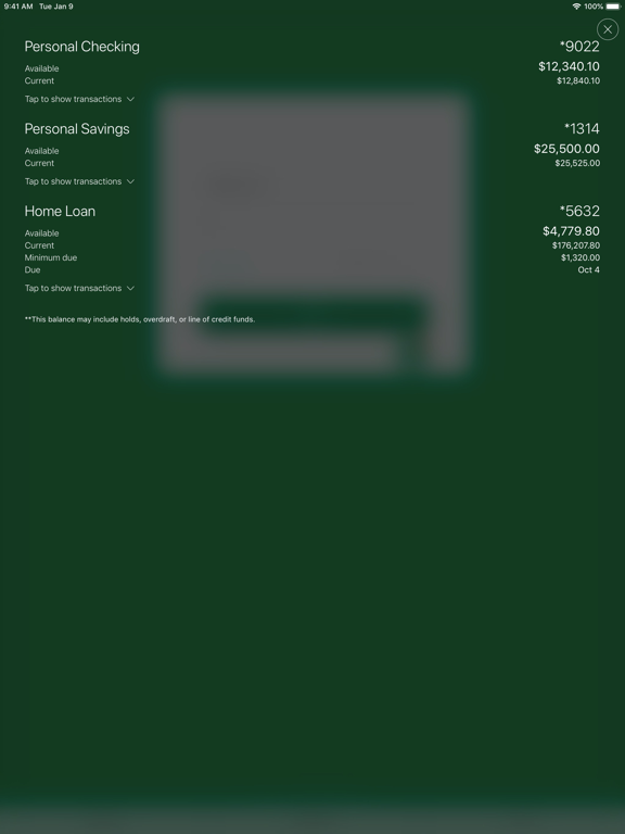 Screenshot #4 pour Story Financial Partners