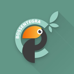 BossEntegra