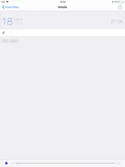 Voice Diary - Audio Transcribe iPad image 4