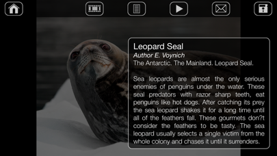 Album Antarctic iPhone screenshot 4 - Photo & Video app