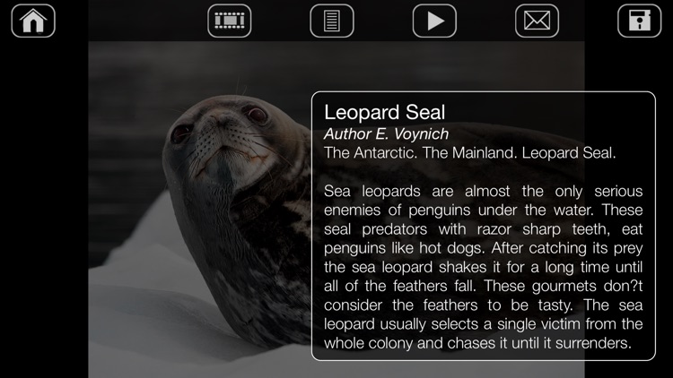 Album Antarctic screenshot-3