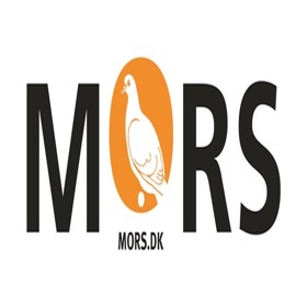 螢幕擷取畫面 (4) Tip Morsø
