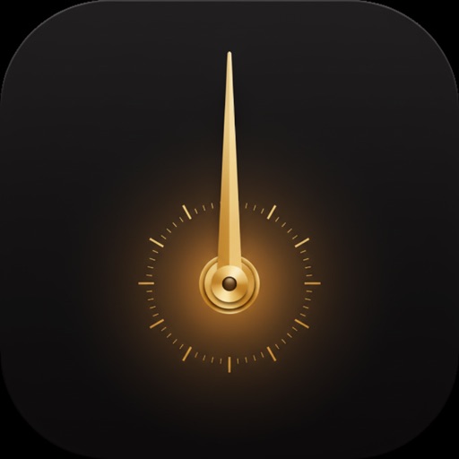 Precision Watch - Montre
