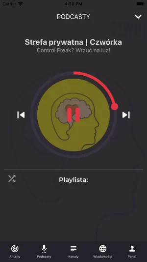 Polskie Radio screenshot 4