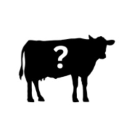 What Cow: AI Cattle Identifier
