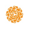 Dutch Rose icon