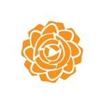 Download Dutch Rose app