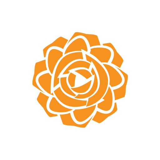 Dutch Rose icon