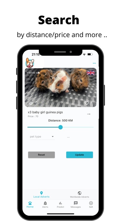 Pets Home App: Buy & Sell Pets