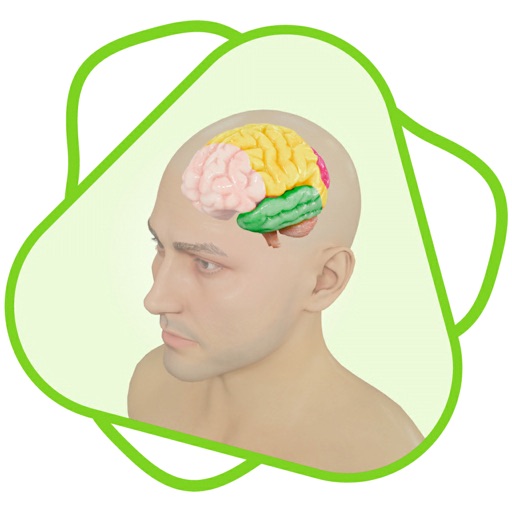 CloudLabs Human Body Factors