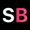 SmartBallot icon