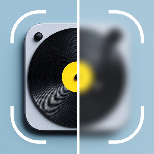 Vinyl Snap Identifier - VSnap