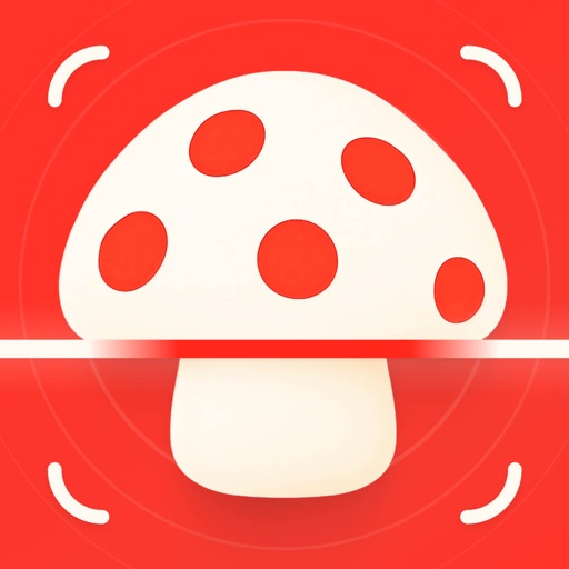 Mushroom Identifier: MushFlow