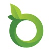 Orga Life icon