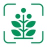 Get AI Plant Identifier & Care ㅤㅤ for iOS, iPhone, iPad Aso Report
