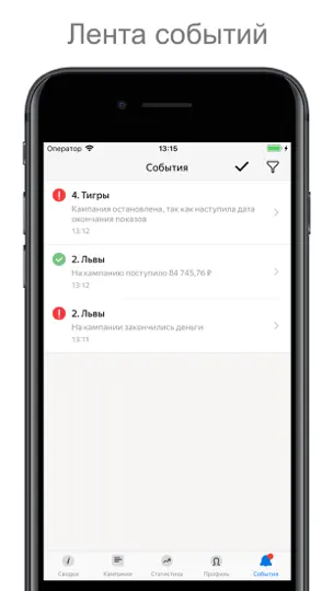 Скриншот Яндекс Директ для бизнеса на iPhone 5