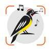 Bird Song Identifier UK Sound - Nhu Nguyen Thi