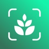 PlantAi: Plant Identifier App - iPhoneアプリ