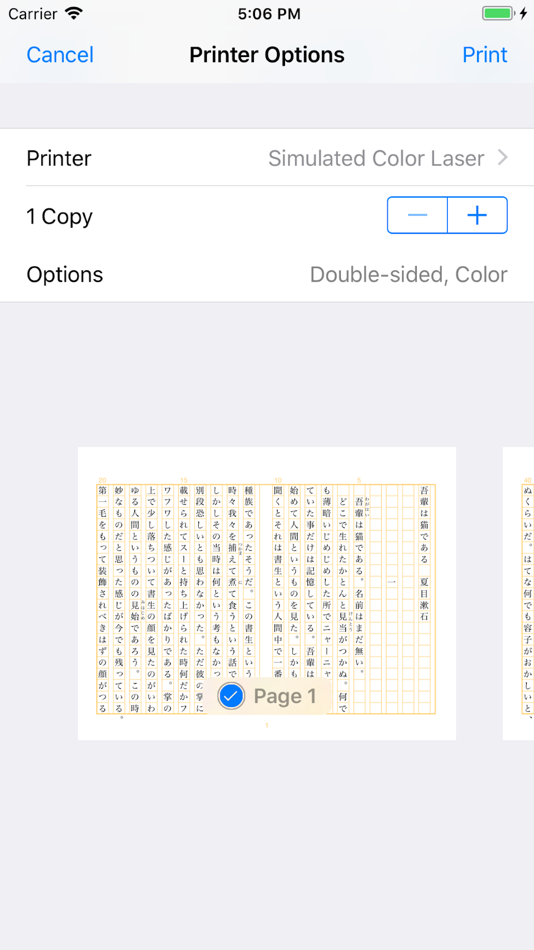 #4. iPRINT - Text Printing (iOS) 由: LIGHT,WAY.