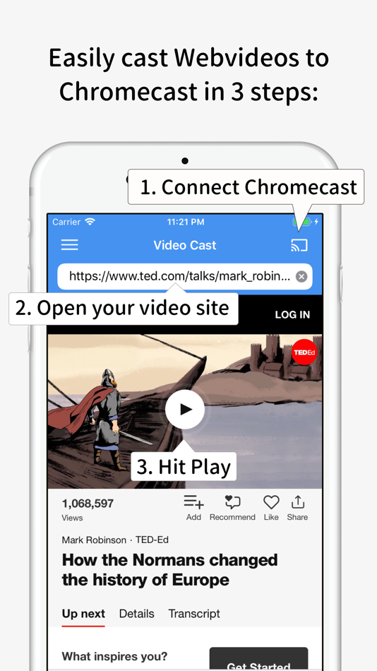 #2. Video Stream for Chromecast (iOS) 由: Nam Doan Hoai