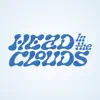Head in the Clouds Festival negative reviews, comments