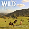 Wild Guide Andalucia icon