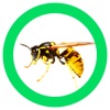 InsectSpider Quest 360 icon