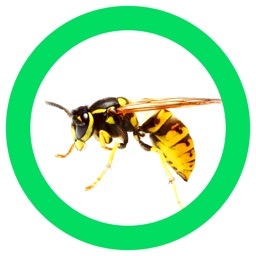 InsectAraignée Aventure 360