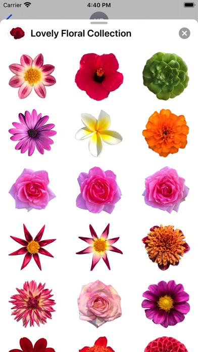 Lovely Flower Collection iPhone screenshot 5 - Stickers app
