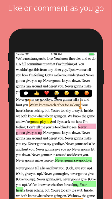BetaReader Screenshot
